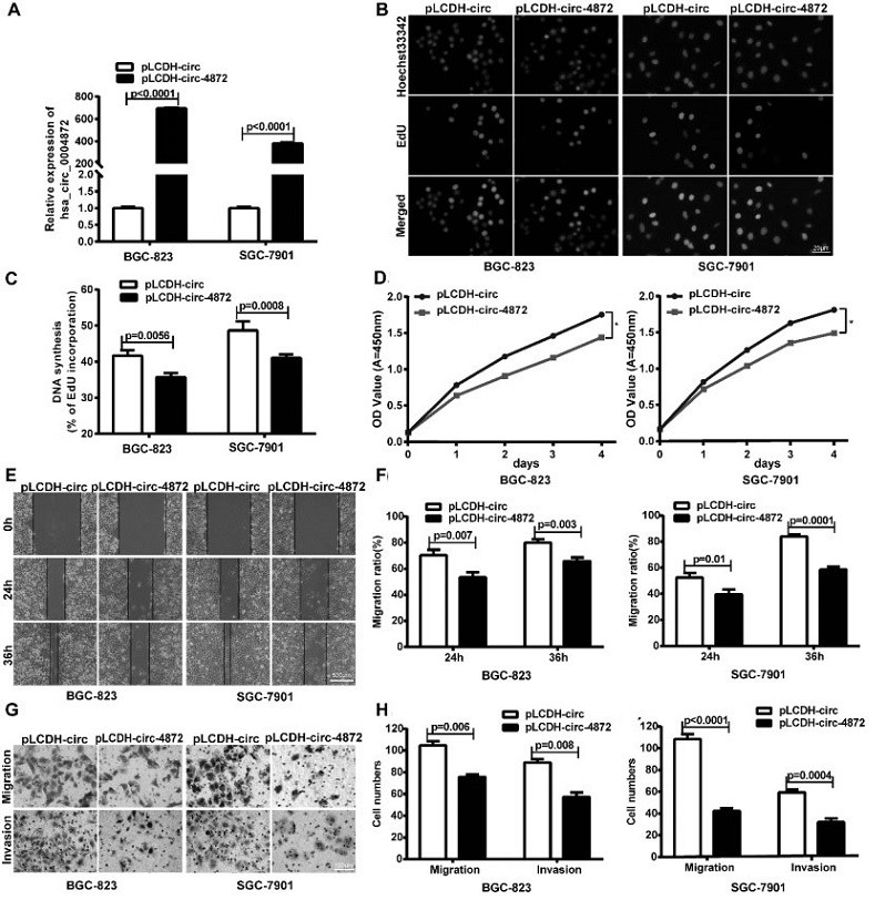 Application of circular RNA hsa_circ_0004872 in the diagnosis of gastric cancer