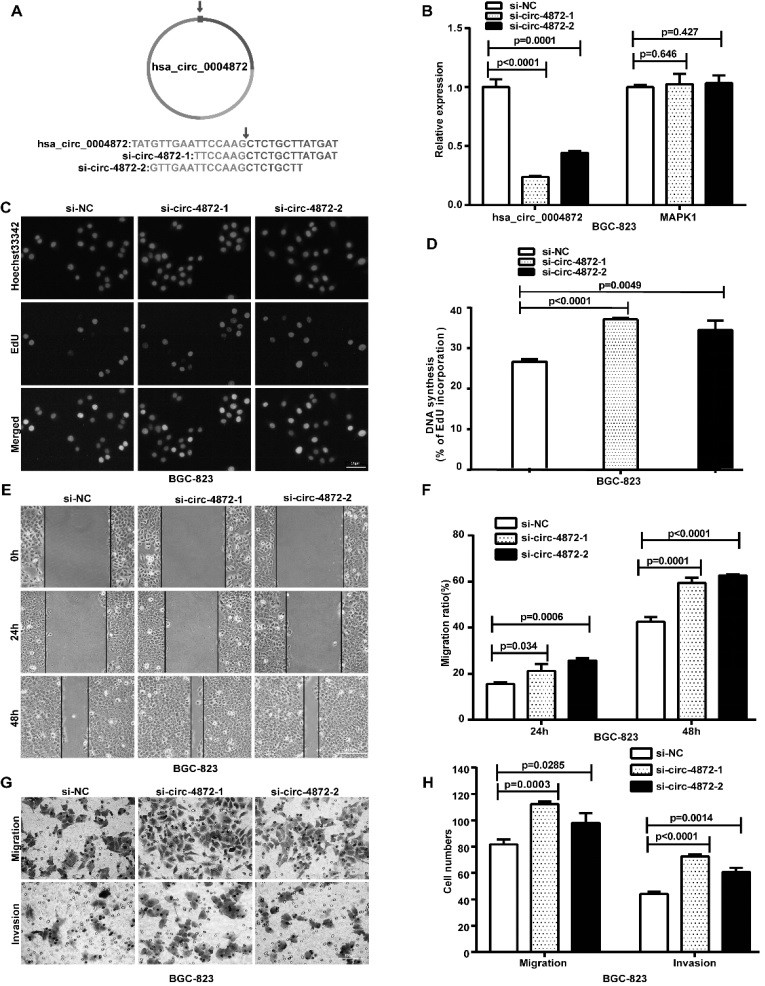 Application of circular RNA hsa_circ_0004872 in the diagnosis of gastric cancer