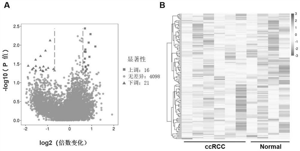 A circRNA biomarker, screening method and diagnostic kit for renal clear cell carcinoma