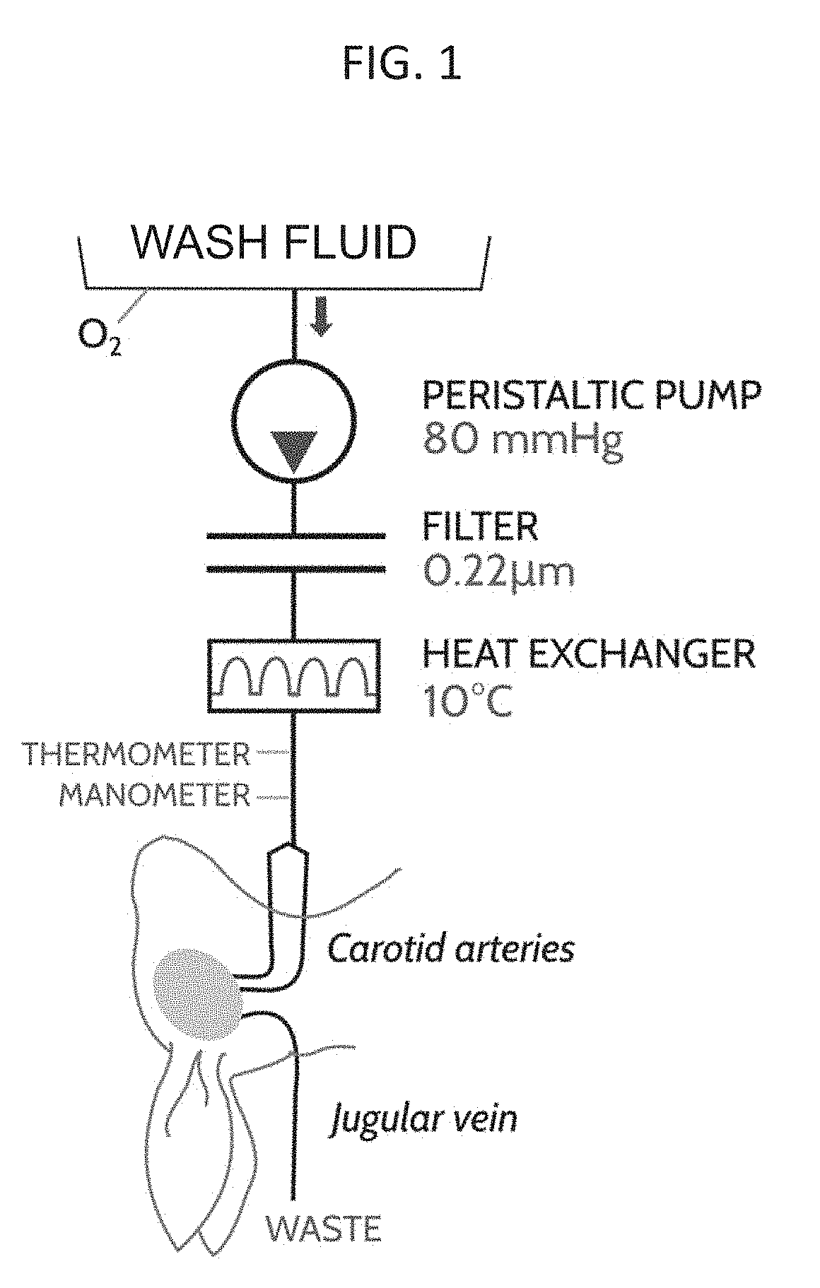 Methods and compositions for the preservation of tissue