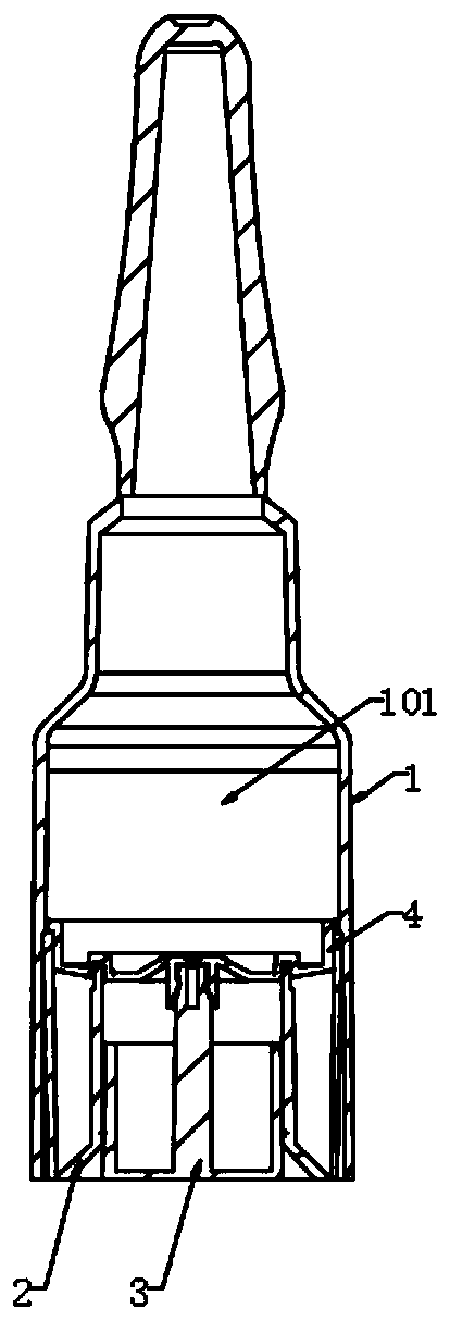 Bottle capable of containing two kinds of cosmetics