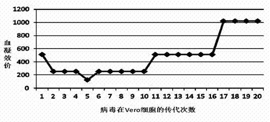 Vero (Rabies Purified Vaccine for Human Use) cell cold-adapted strain of influenza A virus and application thereof