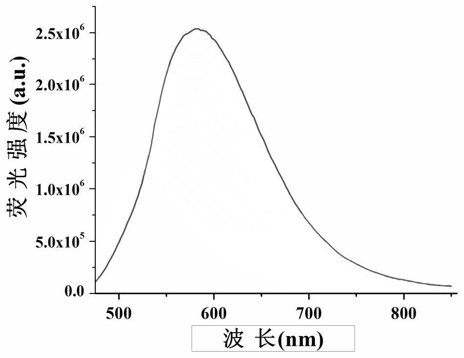 Naphthalimide fluorescent molecular probe for detecting copper ions as well as preparation method and use method of naphthalimide fluorescent molecular probe