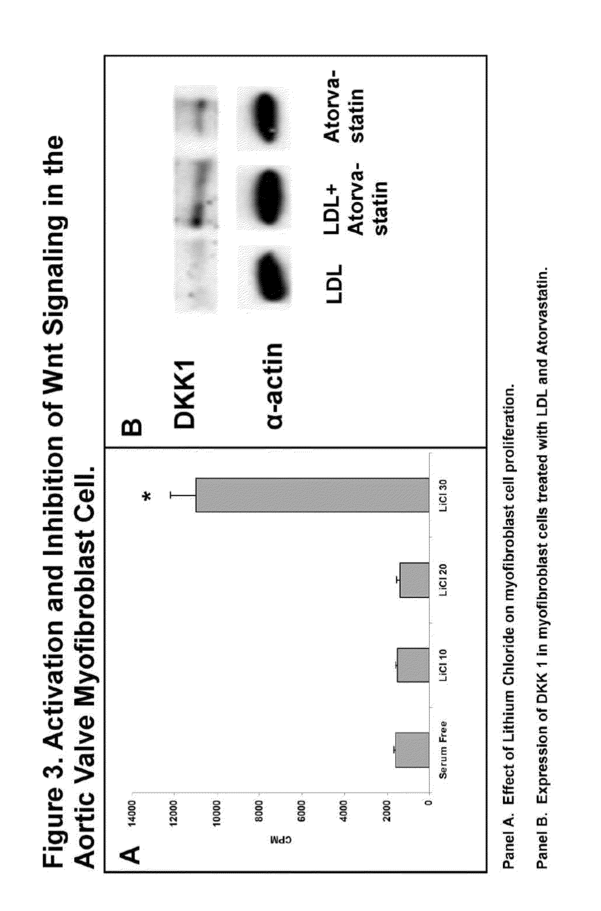 Devices and methods for inhibiting stenosis, obstruction, or calcification of a native heart valve, stented heart valve or bioprosthesis