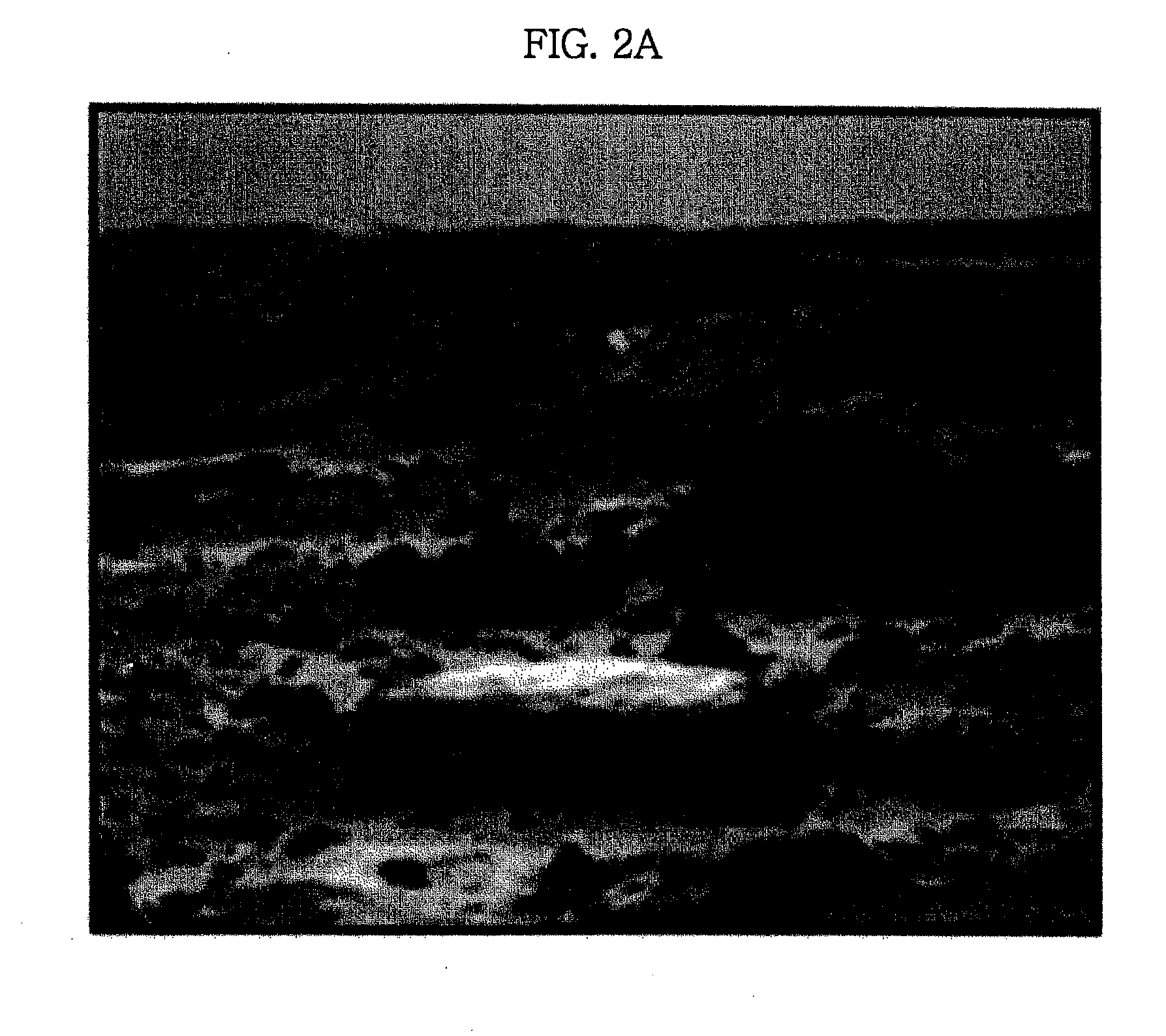 Method and apparatus extracting feature points and image based localization method using extracted feature points