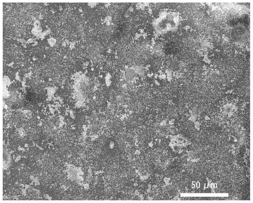 Polylactic acid/nano hydroxyapatite composite material and its preparation method and application