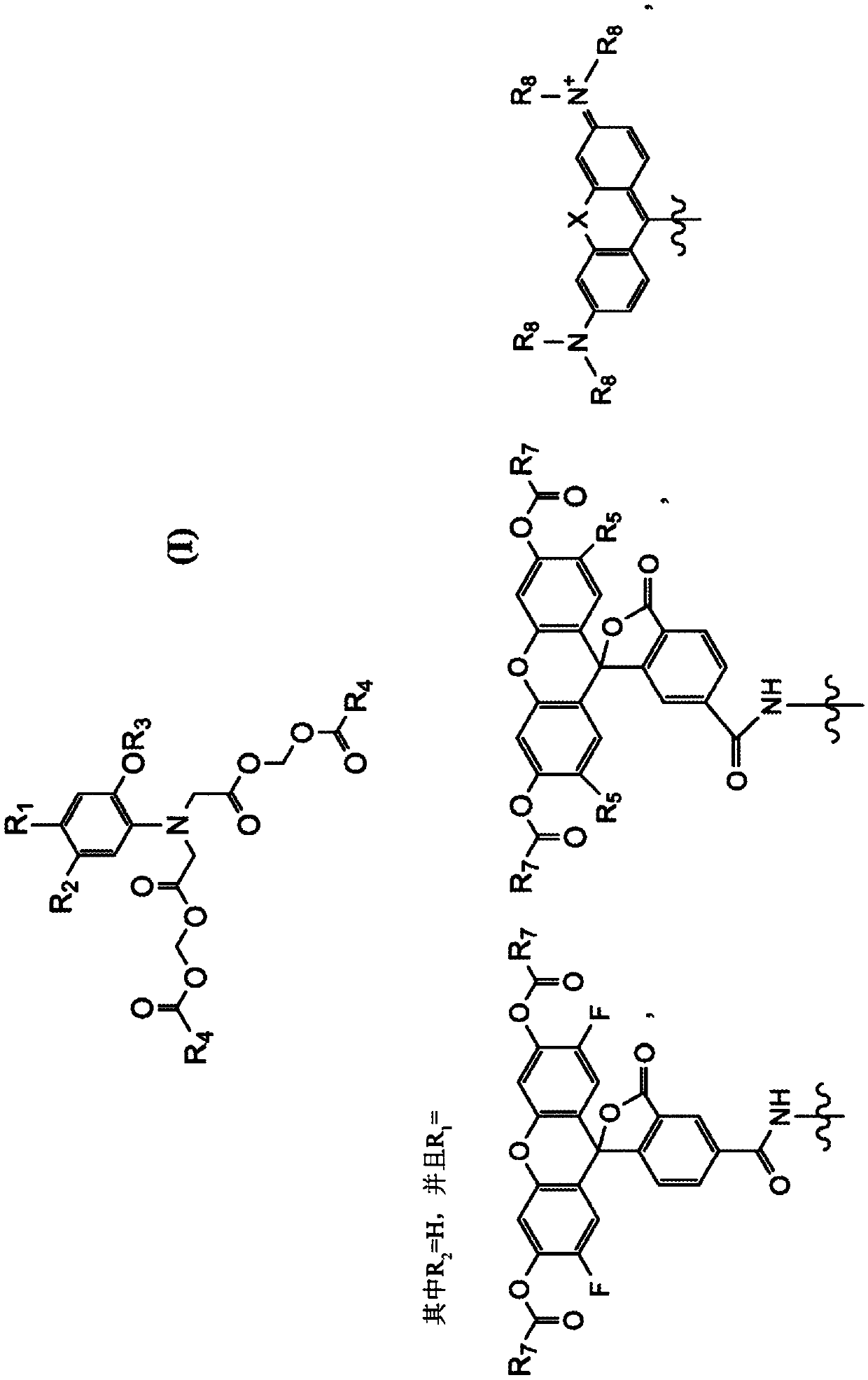 Composition and methods for measuring ion channel activity in a cell