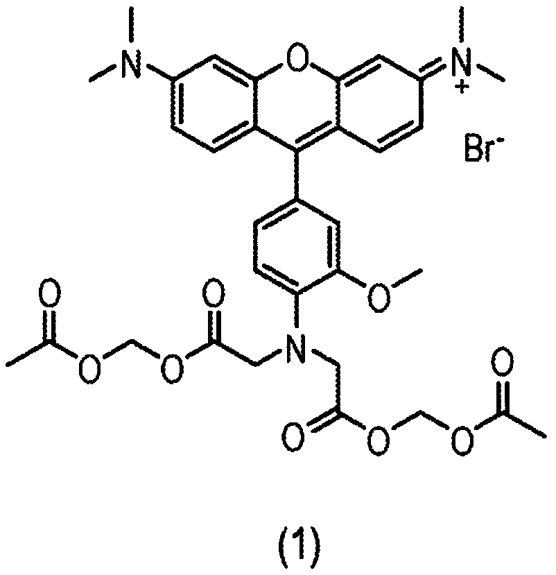 Composition and methods for measuring ion channel activity in a cell