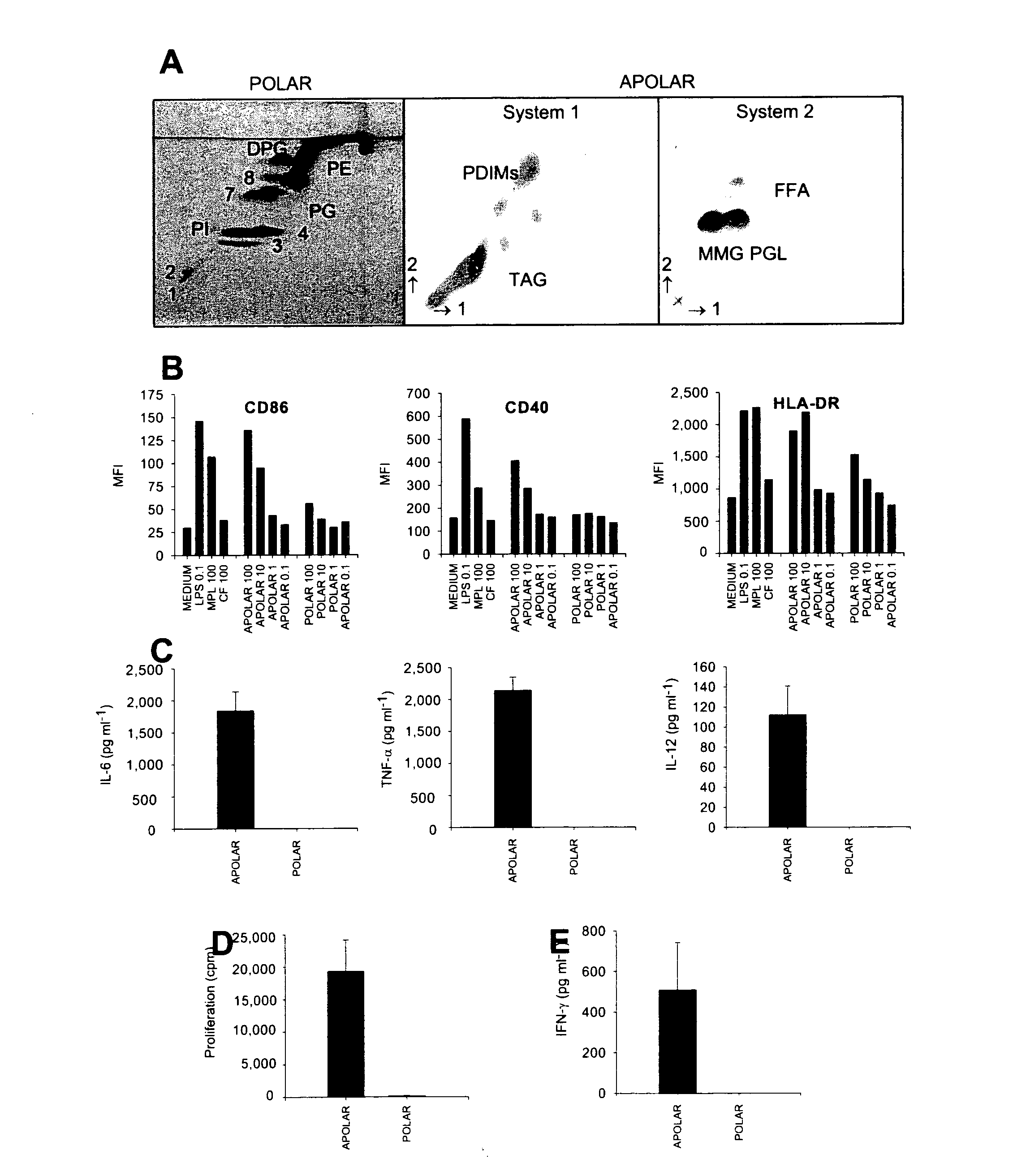 The use of monomycolyl glycerol (MMG) as an adjuvant