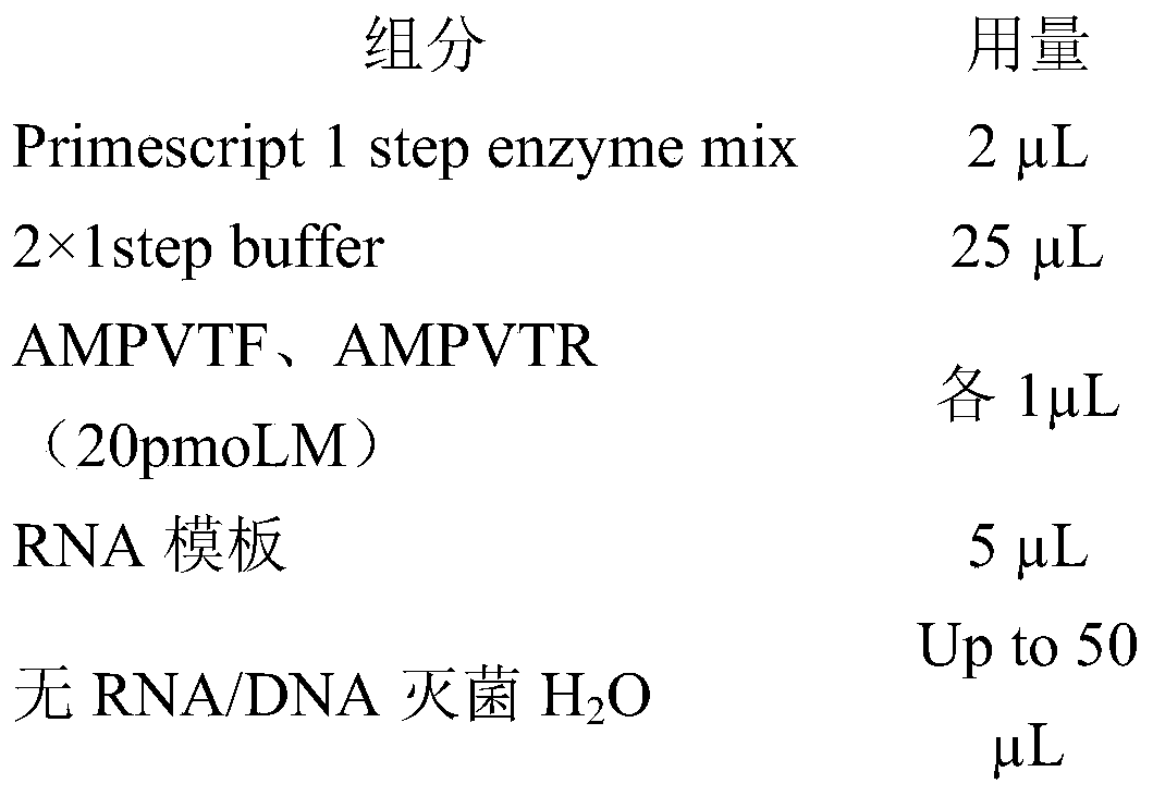 A method for isolating avian metapneumovirus