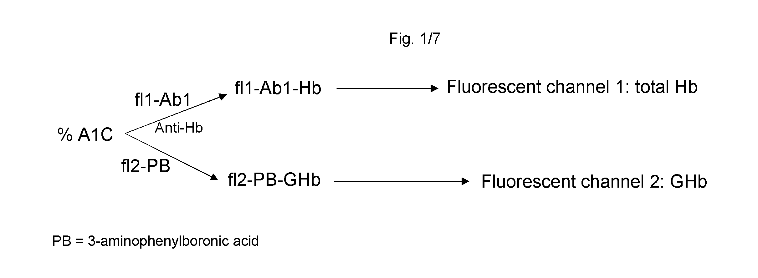Systems and methods for determining the percentage of glycated hemoglobin