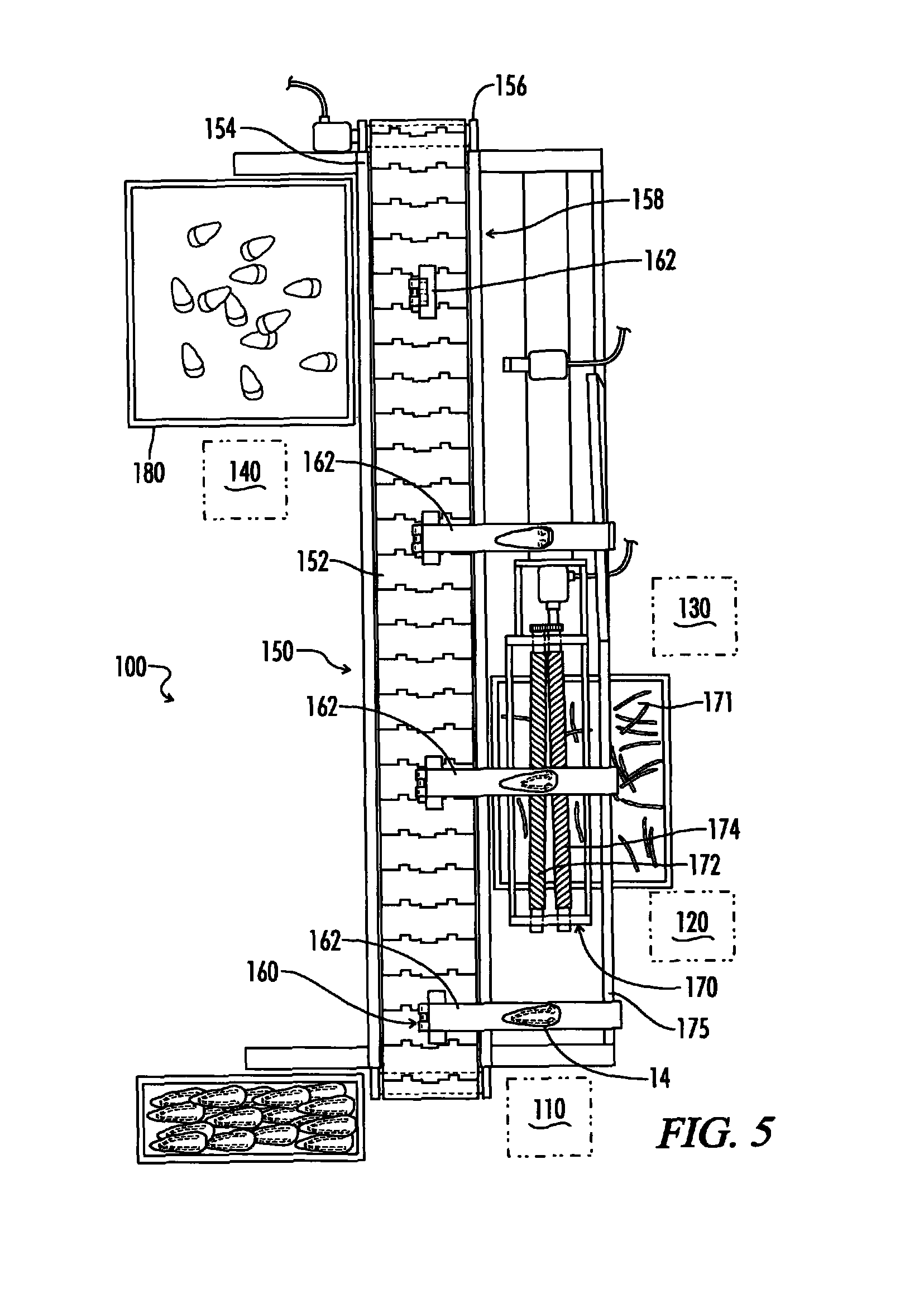 Poultry wing deboning apparatus and method
