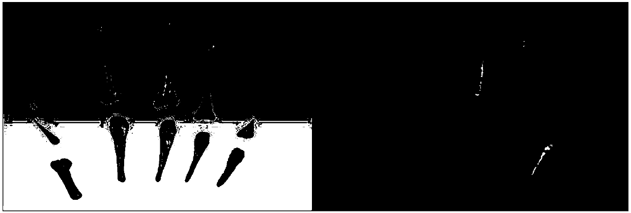 A kind of artificial finger joint prosthesis preparation method