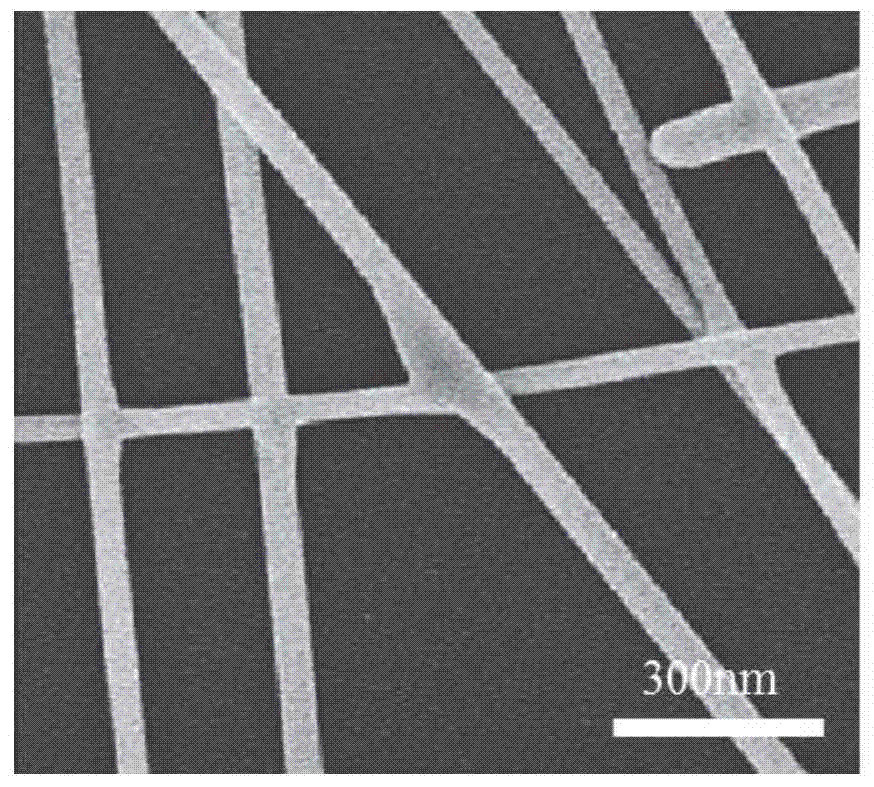 A method for encapsulating and preparing a highly stable silver nanowire composite film