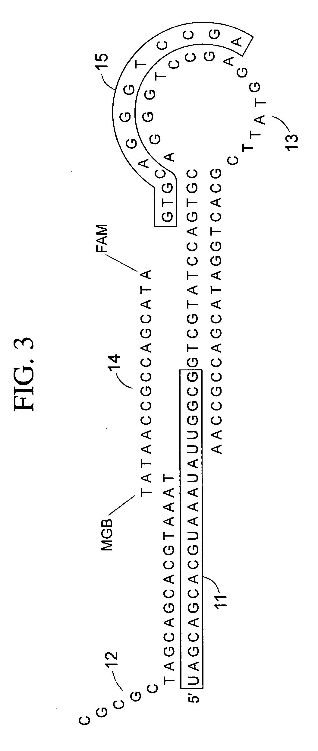 Method for identifying medically important cell populations using micro RNA as tissue specific biomarkers
