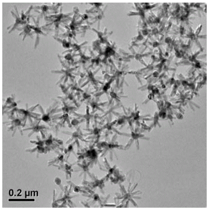 Copper nickel-zinc oxide composite nanocrystalline photocatalyst and preparation method and application thereof