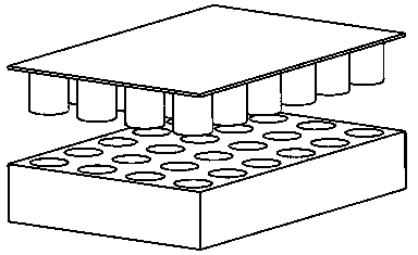 Construction method of tissue engineering epidermis model