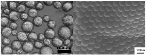ABA-type colloidal particles having multiple properties on surface and preparation method of particles