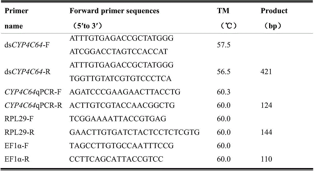 Method for fast, simply and conveniently performing bemisia tabaci adult RNA (Ribonucleic Acid) interference