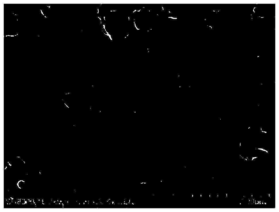 Porous polybenzimidazole polymer electrolyte membrane, and preparation method and application thereof