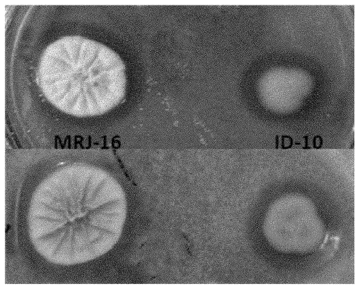 Method for preparation of fungal mutant with high hydrolytic activity