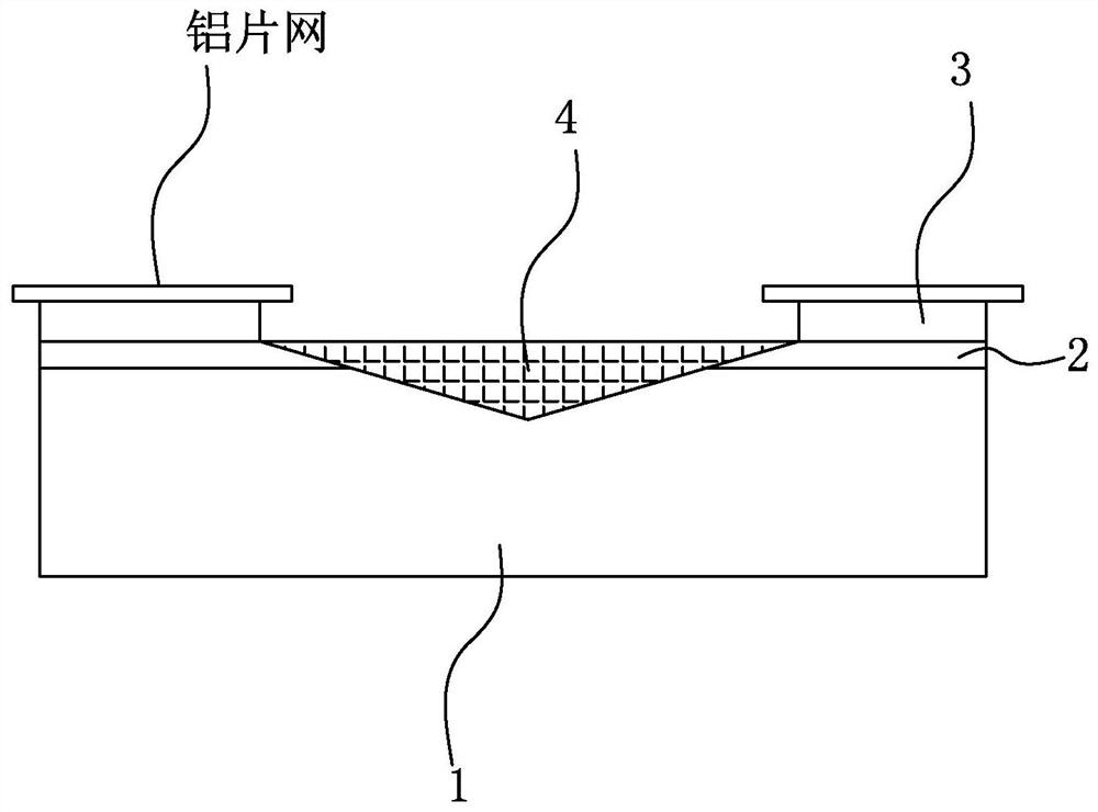 A method for plugging conductive resin in blind holes of conductive substrate