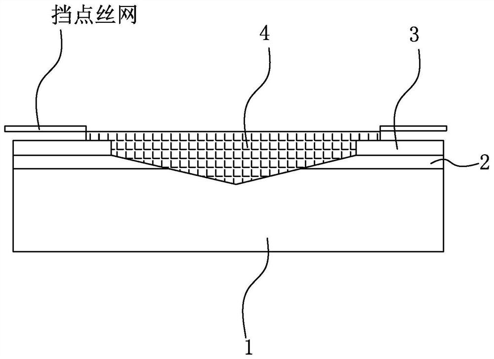 A method for plugging conductive resin in blind holes of conductive substrate