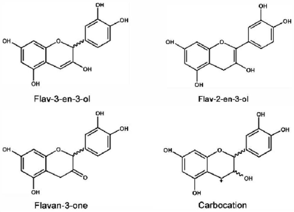 A kind of biosynthesis and detection method of catechin intermediate