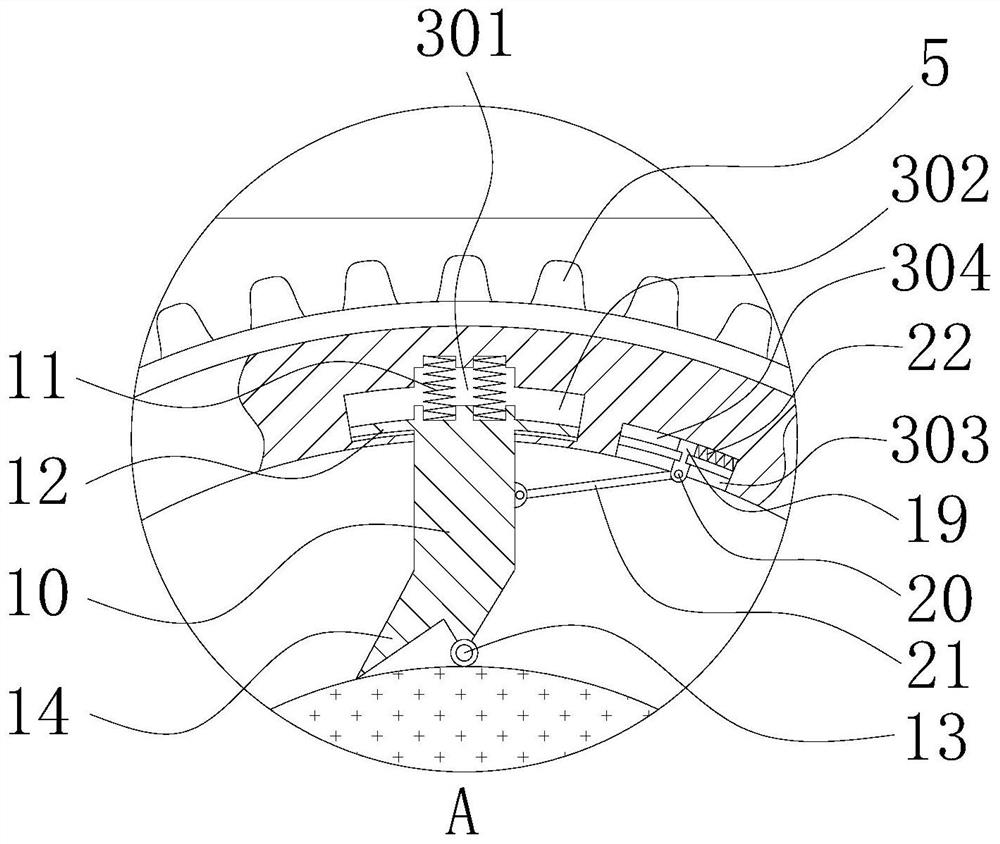 A density board processing machine