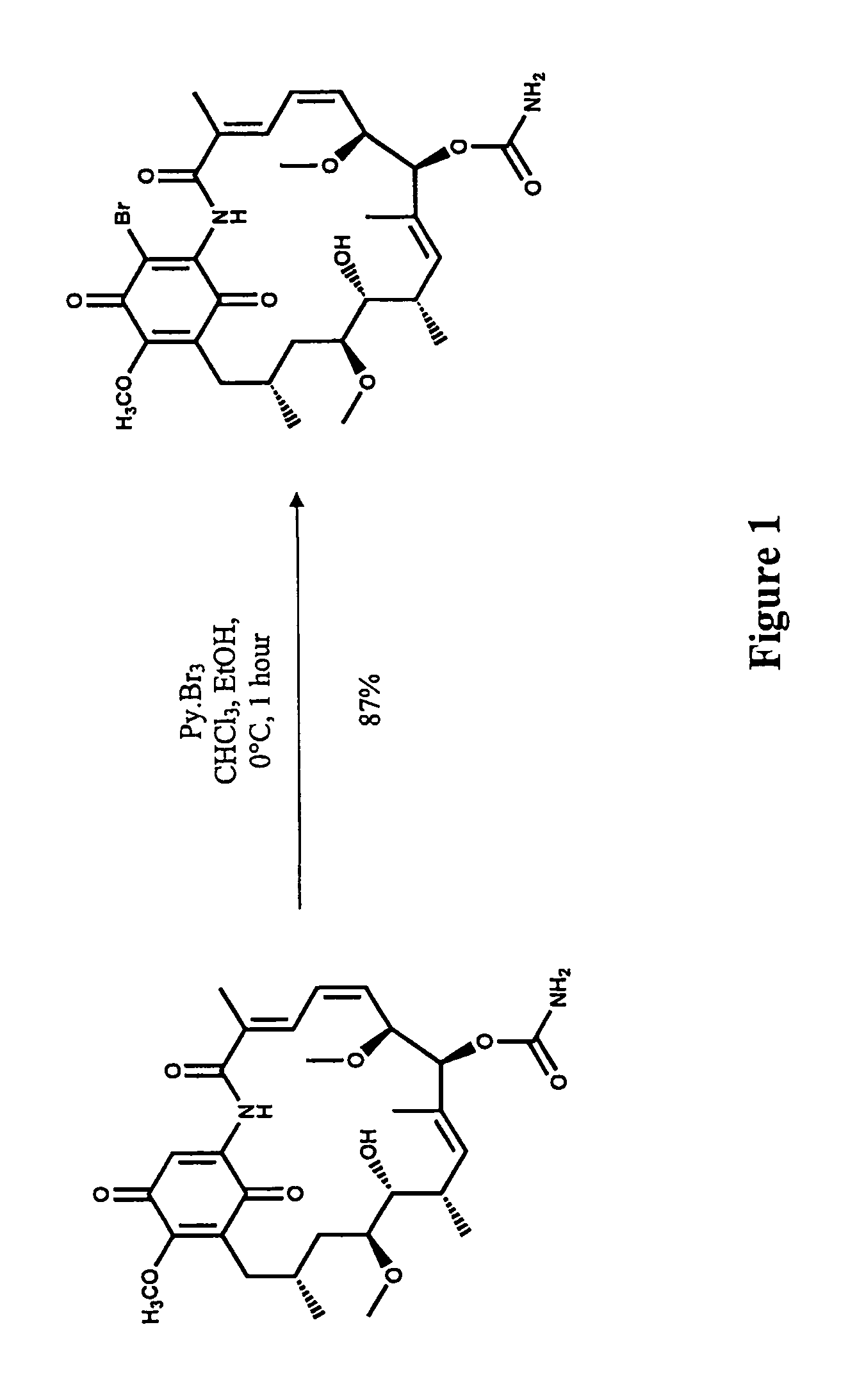 Hsp90 inhibitors with modified toxicity