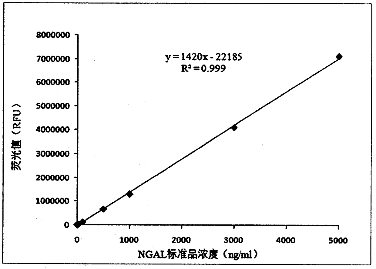 NGAL detection kit based on bimolecular fluorescence complementary technology, preparation and use methods