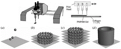 3D cell printing system and printing method thereof