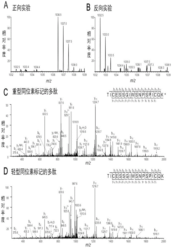 Application of aptamer in recognition of L selectin and combination with L selectin