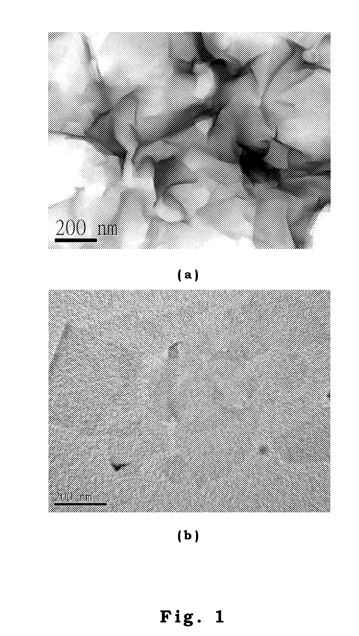 Method for forming polymer-clay nanocomposite latex and its application on sealing and semi-conductive materials