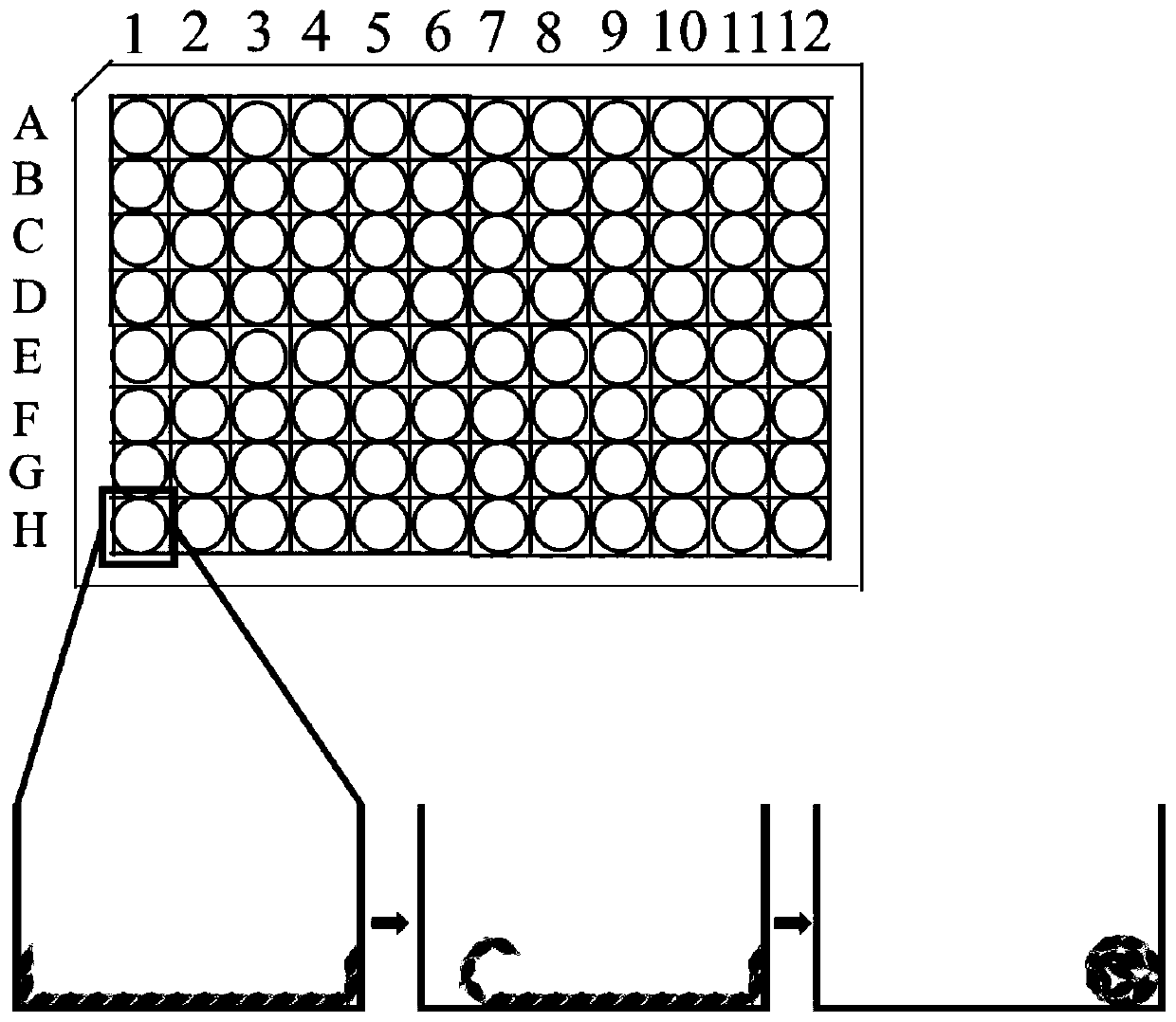 Preparation method of cell microsphere of anchorage-dependent cell