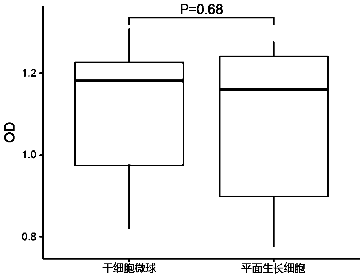 Preparation method of cell microsphere of anchorage-dependent cell