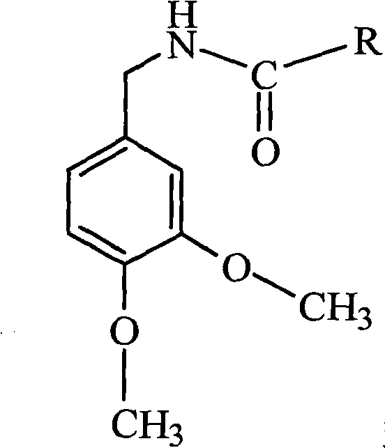 Method for synthesizing N-(3,4-dimethoxybenzyl)amide capsaicine homologous compounds