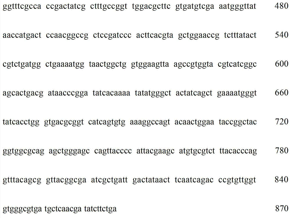 Recombinant escherichia coli and method for preparing phospholipase A1 by same