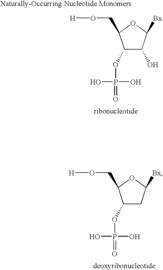 Amidites and Methods of Rna Synthesis