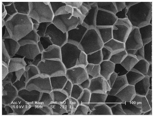 A kind of polyaryletherketone foam material containing phthalein side group and preparation method thereof