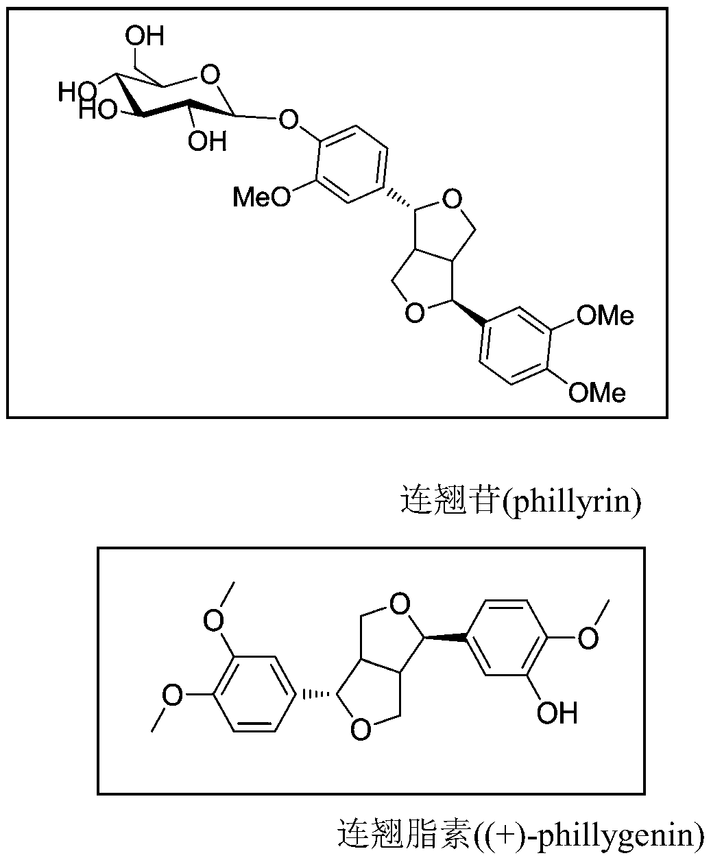Application of Forsythin, Forsythin Derivatives, Forsythin and Forsythin Composition in Preparation of Drugs for Alleviating or/and Treating Vomiting