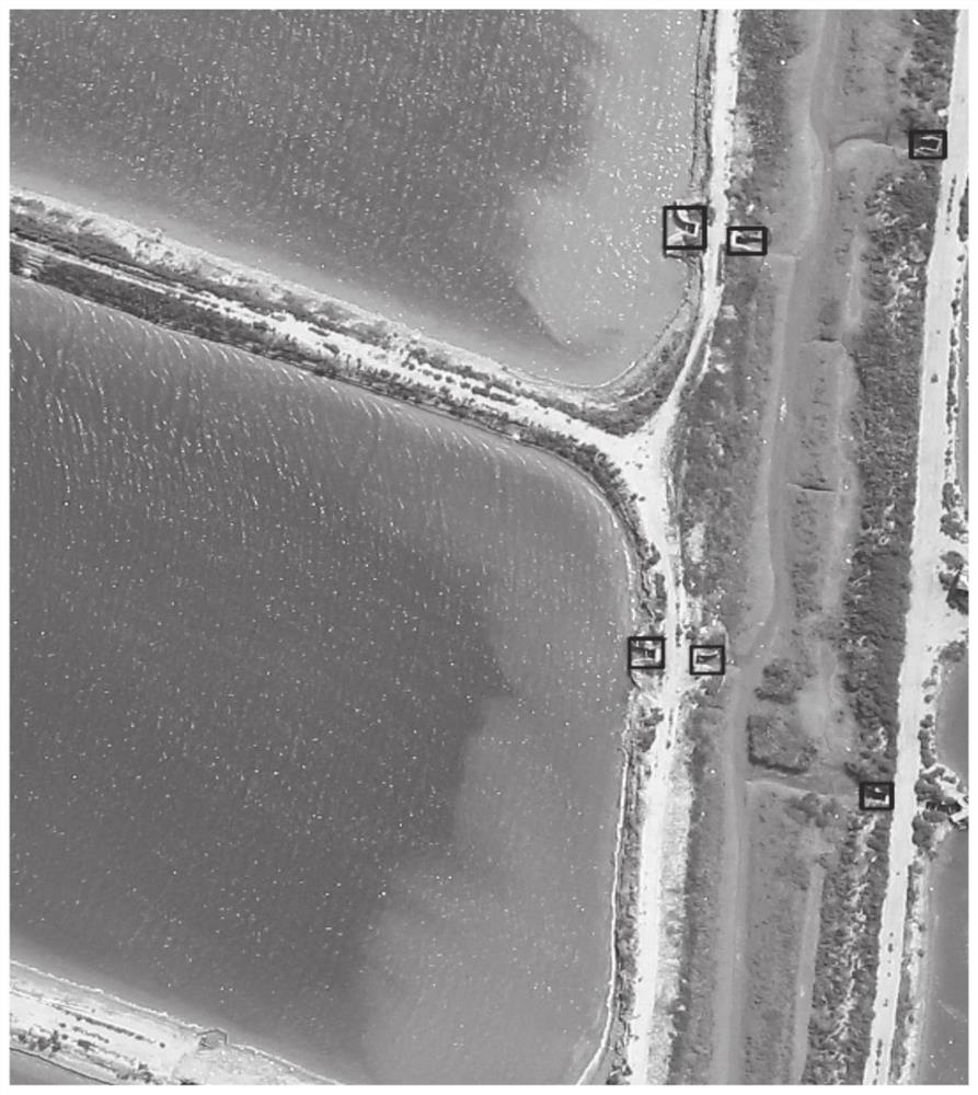 YOLO V5-based unmanned aerial vehicle aerial image river sewage draining exit detection method and system