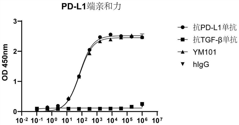 Bispecific antibody capable of combining PD-L1 and TGF-beta of mouse as well as preparation method and application thereof