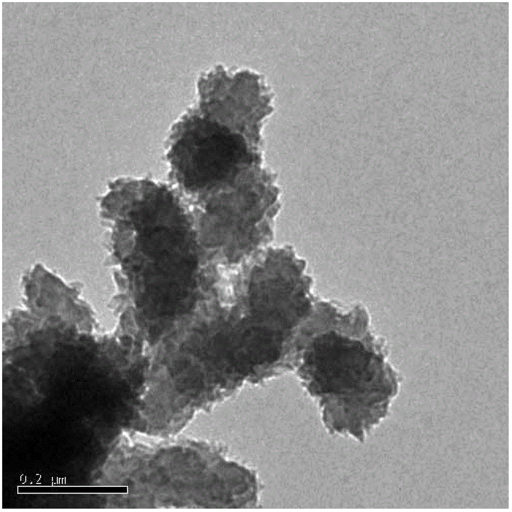 Preparation method of doped polyaniline nano particles