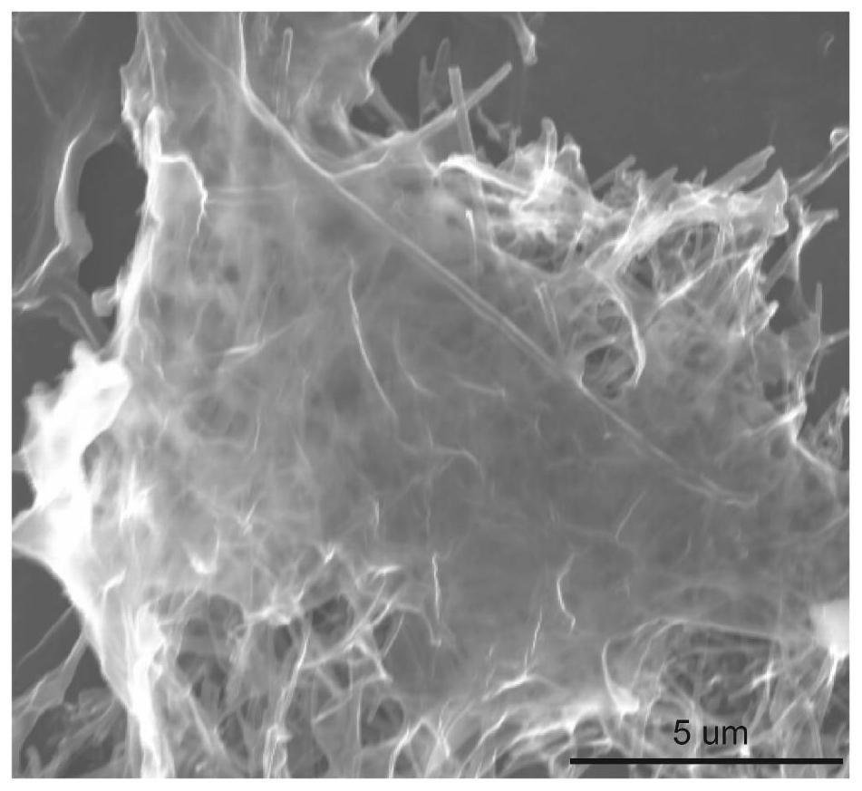 A graphite oxide phase monolayer c  <sub>3</sub> no  <sub>4</sub> Composite membrane material and its preparation method and application