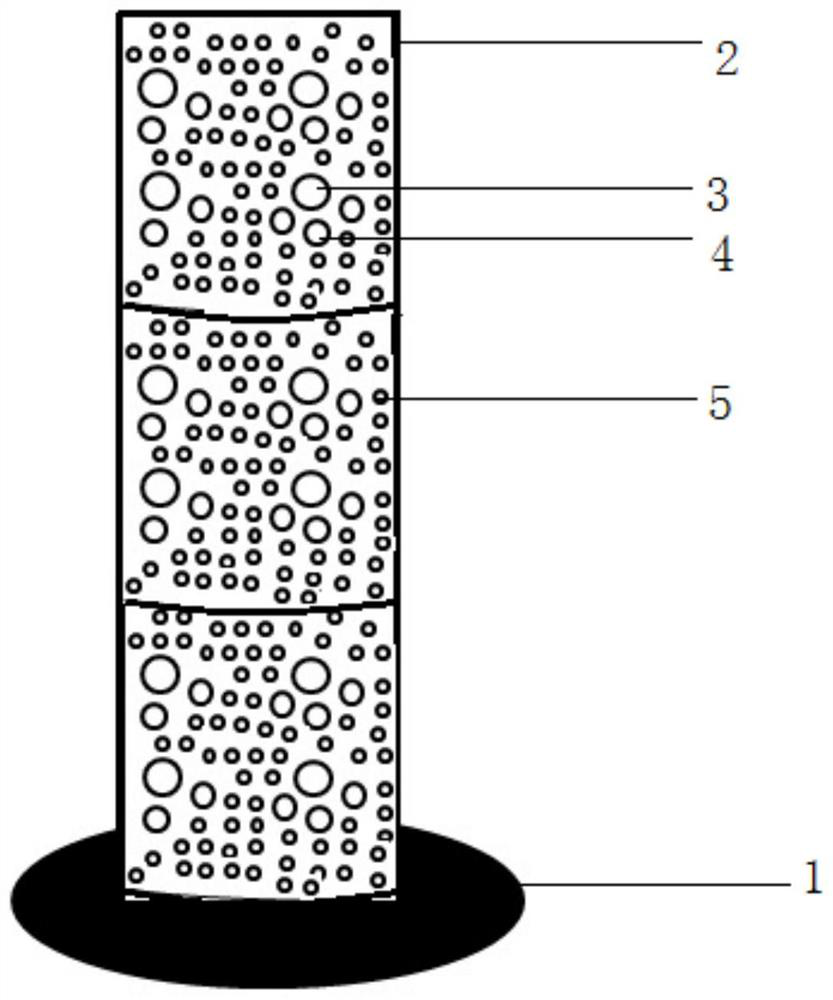 A Cylindrical Oviposition Attachment Base of Pseudomonas laiburi