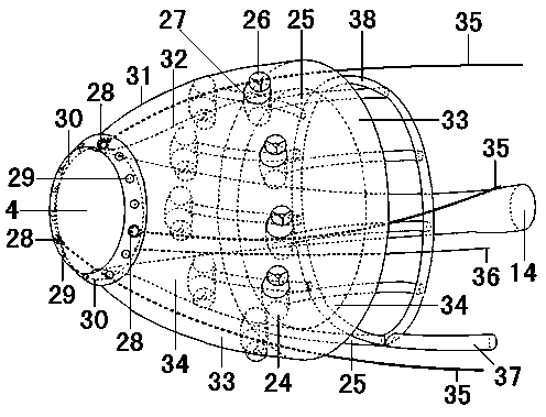 Device for extracting and delivering germ cells in in-vivo experimental rat genital tract