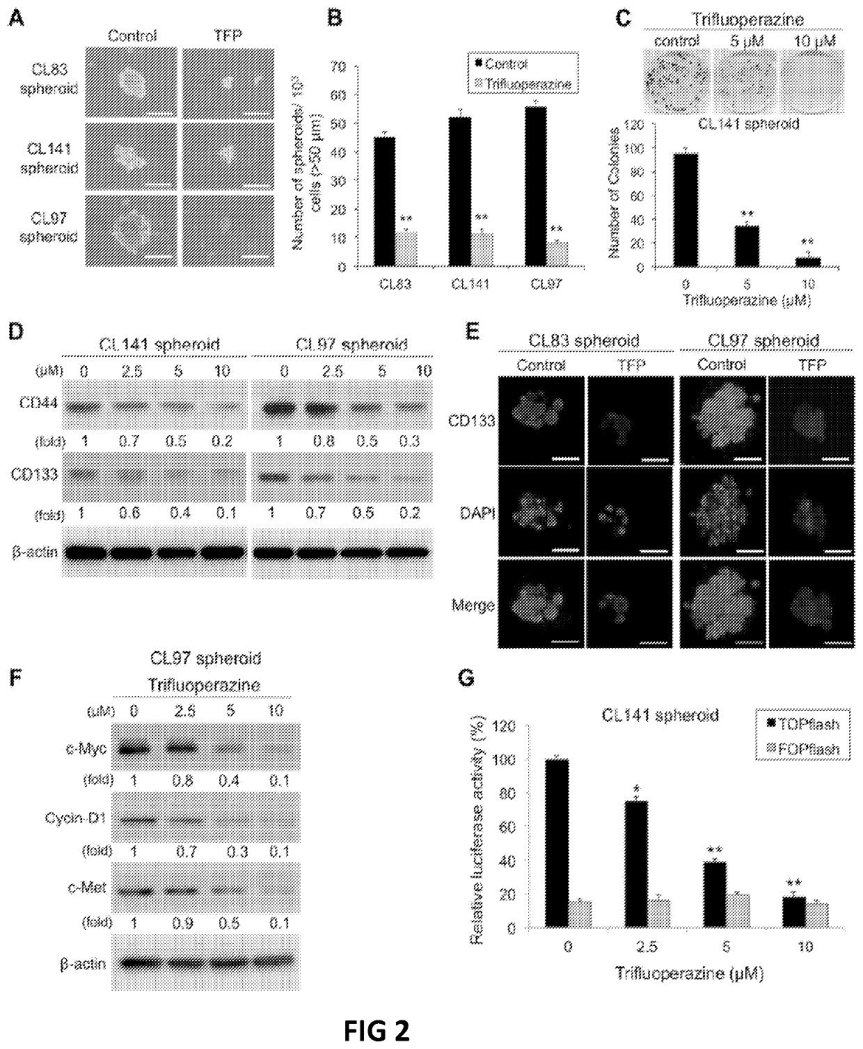 Pharmaceutical composition for treatment of cancer using phenothiazine