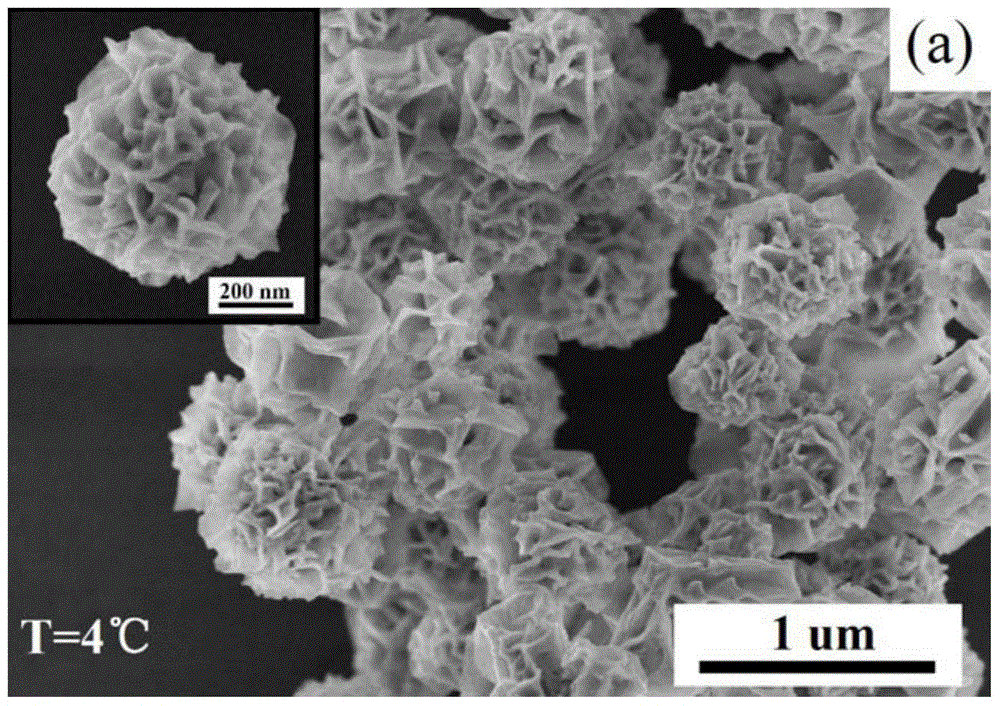 A kind of hydrangea-like gold nanoparticles and preparation method thereof