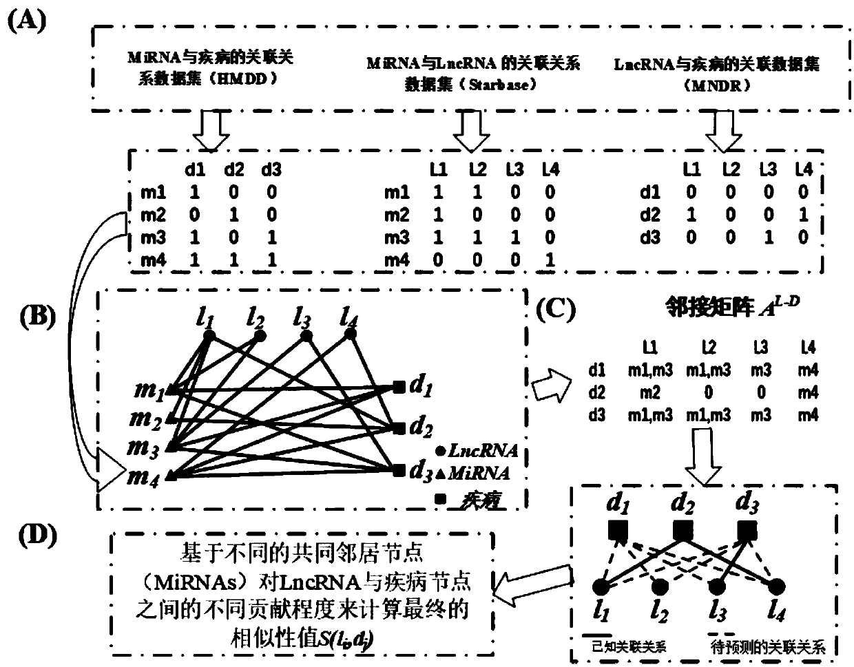 LncRNA and disease association relationship prediction method and system based on Naive Bayes